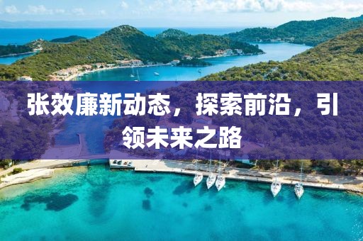 张效廉新动态，探索前沿，引领未来之路