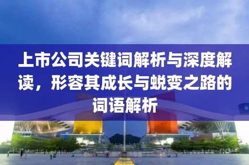 上市公司关键词解析与深度解读，形容其成长与蜕变之路的词语解析