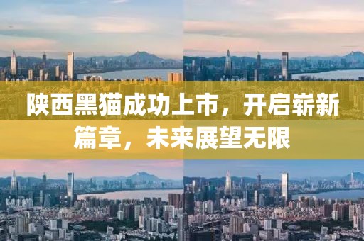 陕西黑猫成功上市，开启崭新篇章，未来展望无限