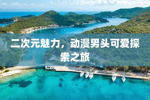 二次元魅力,动漫男头可爱探索之旅