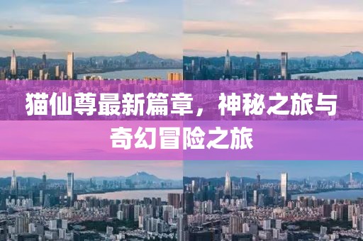 猫仙尊最新篇章,神秘之旅与奇幻冒险之旅