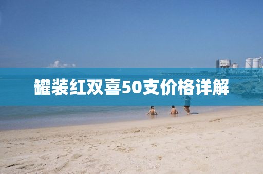 罐装红双喜50支价格详解