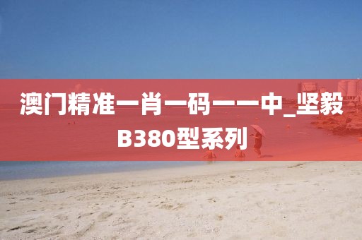澳门精准一肖一码一一中_坚毅B380型系列