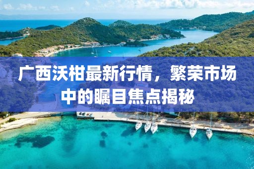 广西沃柑最新行情，繁荣市场中的瞩目焦点揭秘