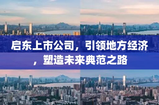启东上市公司,引领地方经济,塑造未来典范之路