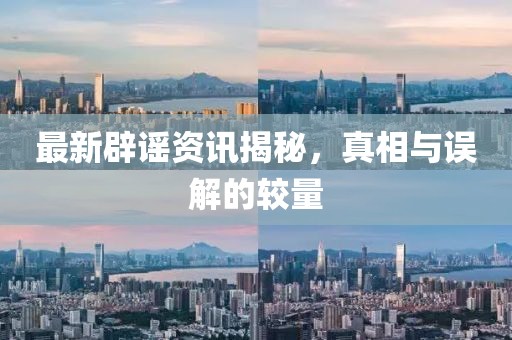 最新辟谣资讯揭秘，真相与误解的较量