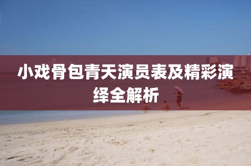 小戏骨包青天演员表及精彩演绎全解析