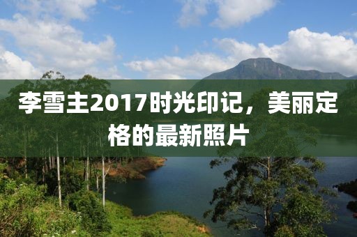 李雪主2017时光印记，美丽定格的最新照片