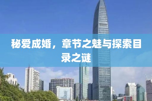 秘爱成婚,章节之魅与探索目录之谜