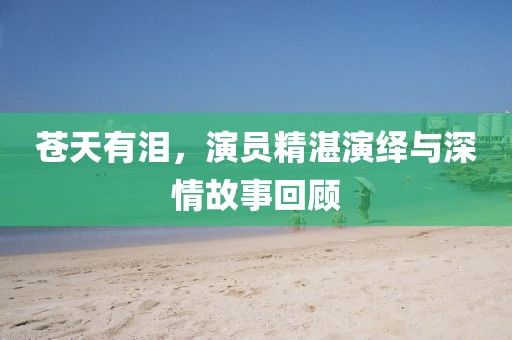 苍天有泪,演员精湛演绎与深情故事回顾