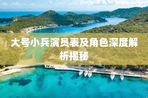 大号小兵演员表及角色深度解析揭秘