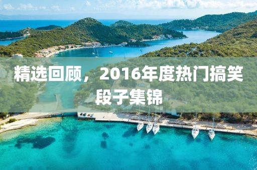 精选回顾，2016年度热门搞笑段子集锦