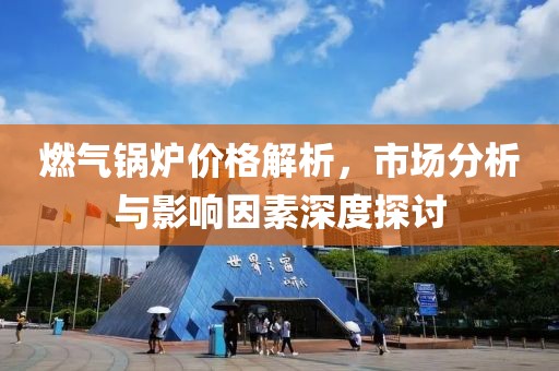 燃气锅炉价格解析，市场分析与影响因素深度探讨