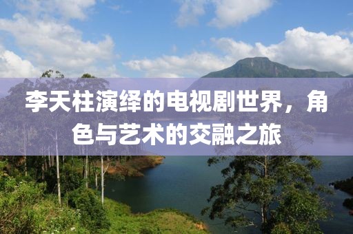 李天柱演绎的电视剧世界，角色与艺术的交融之旅