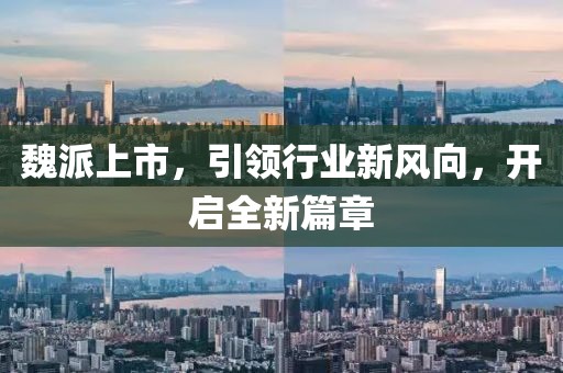 魏派上市，引领行业新风向，开启全新篇章
