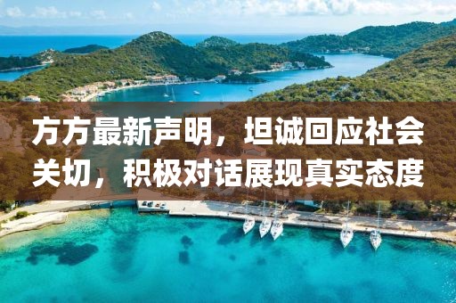 方方最新声明，坦诚回应社会关切，积极对话展现真实态度