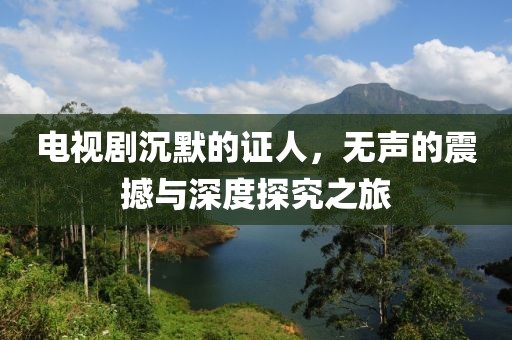 电视剧沉默的证人，无声的震撼与深度探究之旅