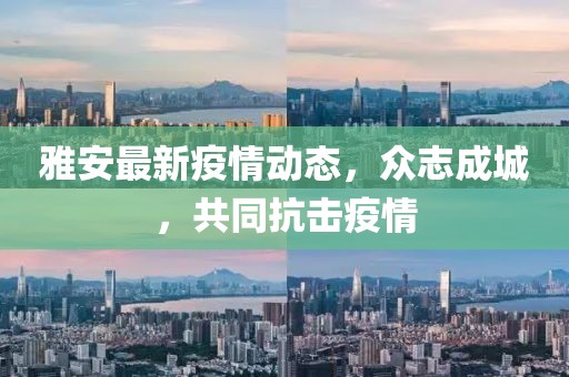 雅安最新疫情动态,众志成城,共同抗击疫情