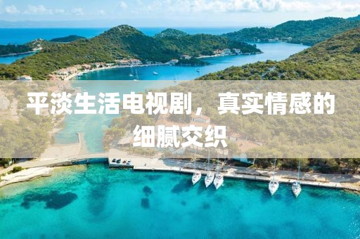 平淡生活电视剧，真实情感的细腻交织