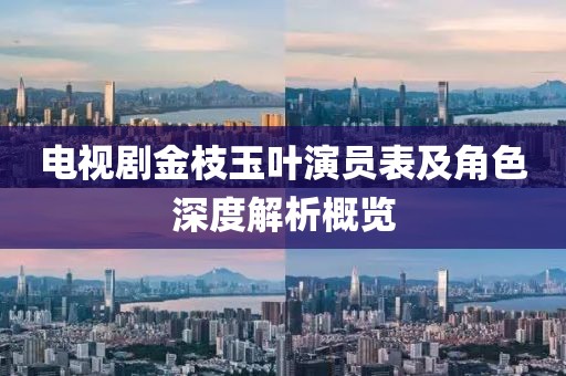 电视剧金枝玉叶演员表及角色深度解析概览