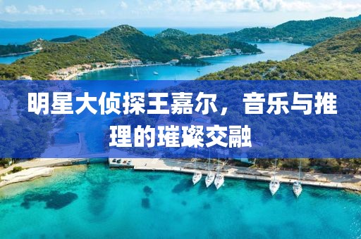 明星大侦探王嘉尔，音乐与推理的璀璨交融
