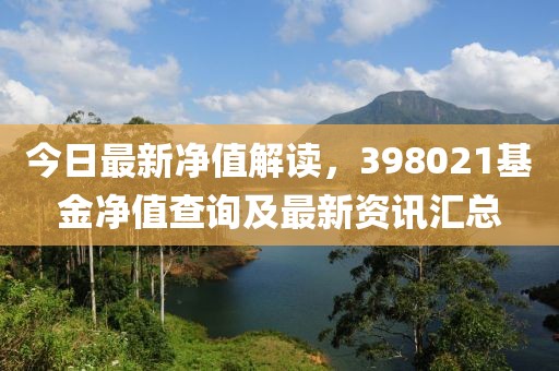 今日最新净值解读，398021基金净值查询及最新资讯汇总