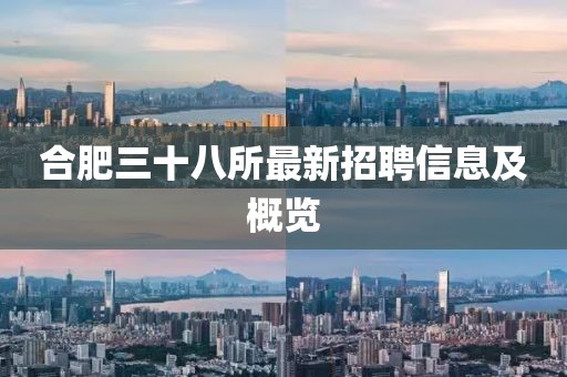合肥三十八所最新招聘信息及概览