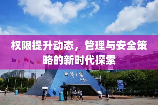 权限提升动态，管理与安全策略的新时代探索