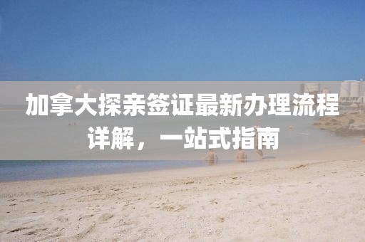 加拿大探亲签证最新办理流程详解，一站式指南
