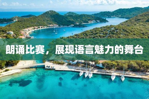 朗诵比赛，展现语言魅力的舞台