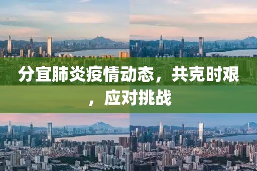 分宜肺炎疫情动态，共克时艰，应对挑战