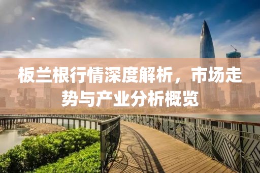 板兰根行情深度解析，市场走势与产业分析概览