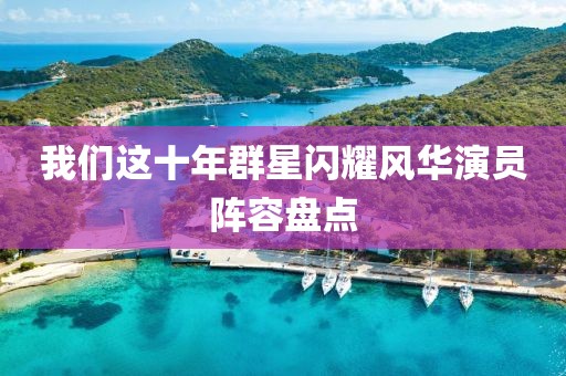 我们这十年群星闪耀风华演员阵容盘点