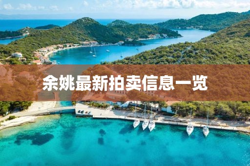 余姚最新拍卖信息一览