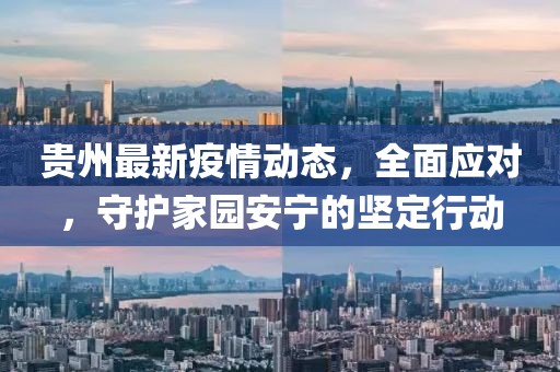 贵州最新疫情动态，全面应对，守护家园安宁的坚定行动