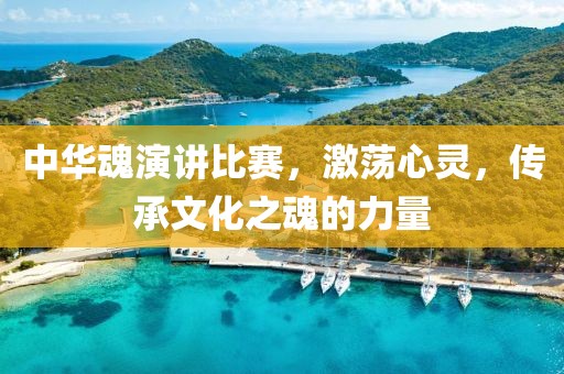 中华魂演讲比赛，激荡心灵，传承文化之魂的力量