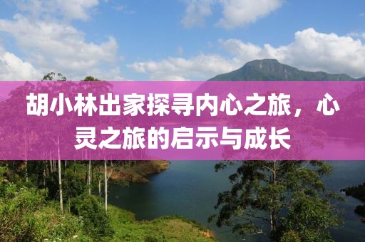 胡小林出家探寻内心之旅，心灵之旅的启示与成长