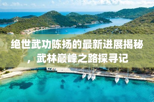 绝世武功陈扬的最新进展揭秘，武林巅峰之路探寻记