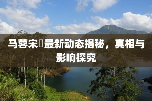 马蓉宋喆最新动态揭秘，真相与影响探究