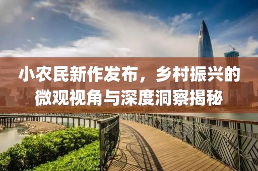 小农民新作发布，乡村振兴的微观视角与深度洞察揭秘