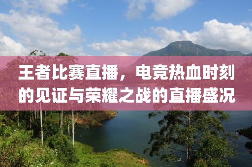 王者比赛直播，电竞热血时刻的见证与荣耀之战的直播盛况