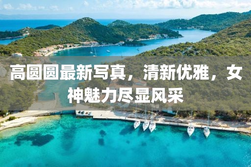 高圆圆最新写真，清新优雅，女神魅力尽显风采
