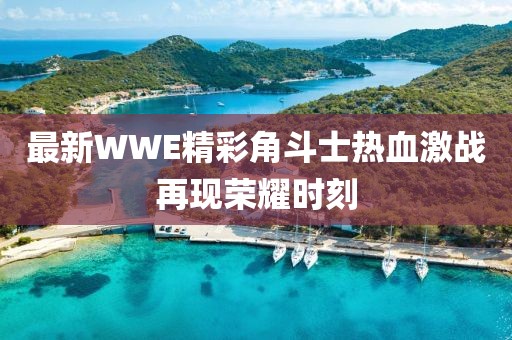 最新WWE精彩角斗士热血激战再现荣耀时刻