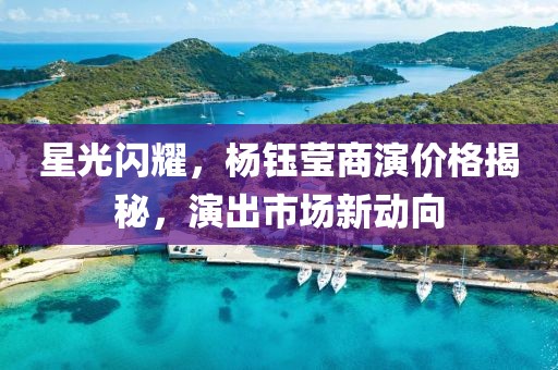 星光闪耀，杨钰莹商演价格揭秘，演出市场新动向