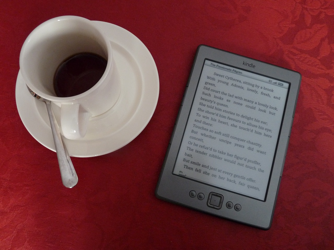 电子书Kindle价格概览，市场趋势与消费者考量