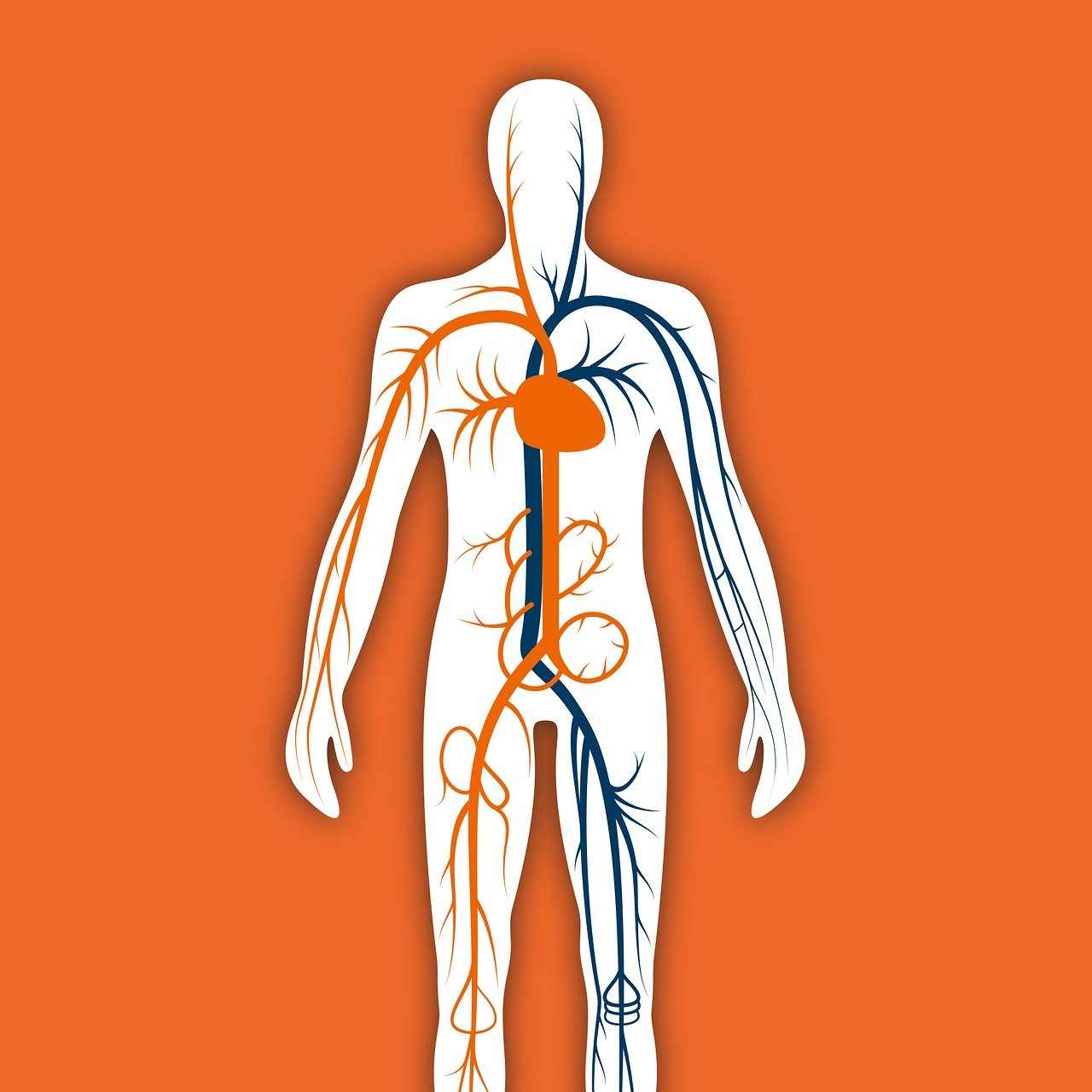 全面解析与指导，吸脂瘦大腿价格及费用指导