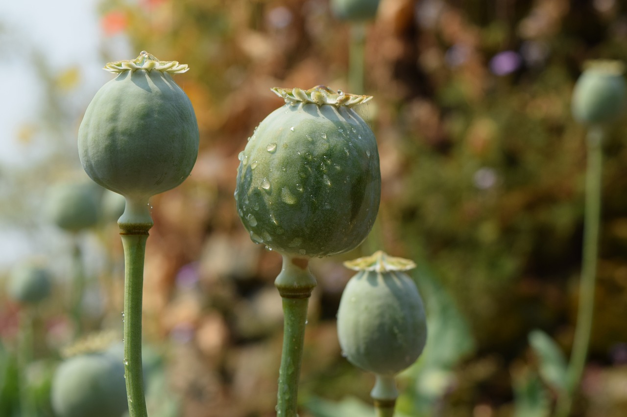 临沂最新资讯概览，最新动态一网打尽