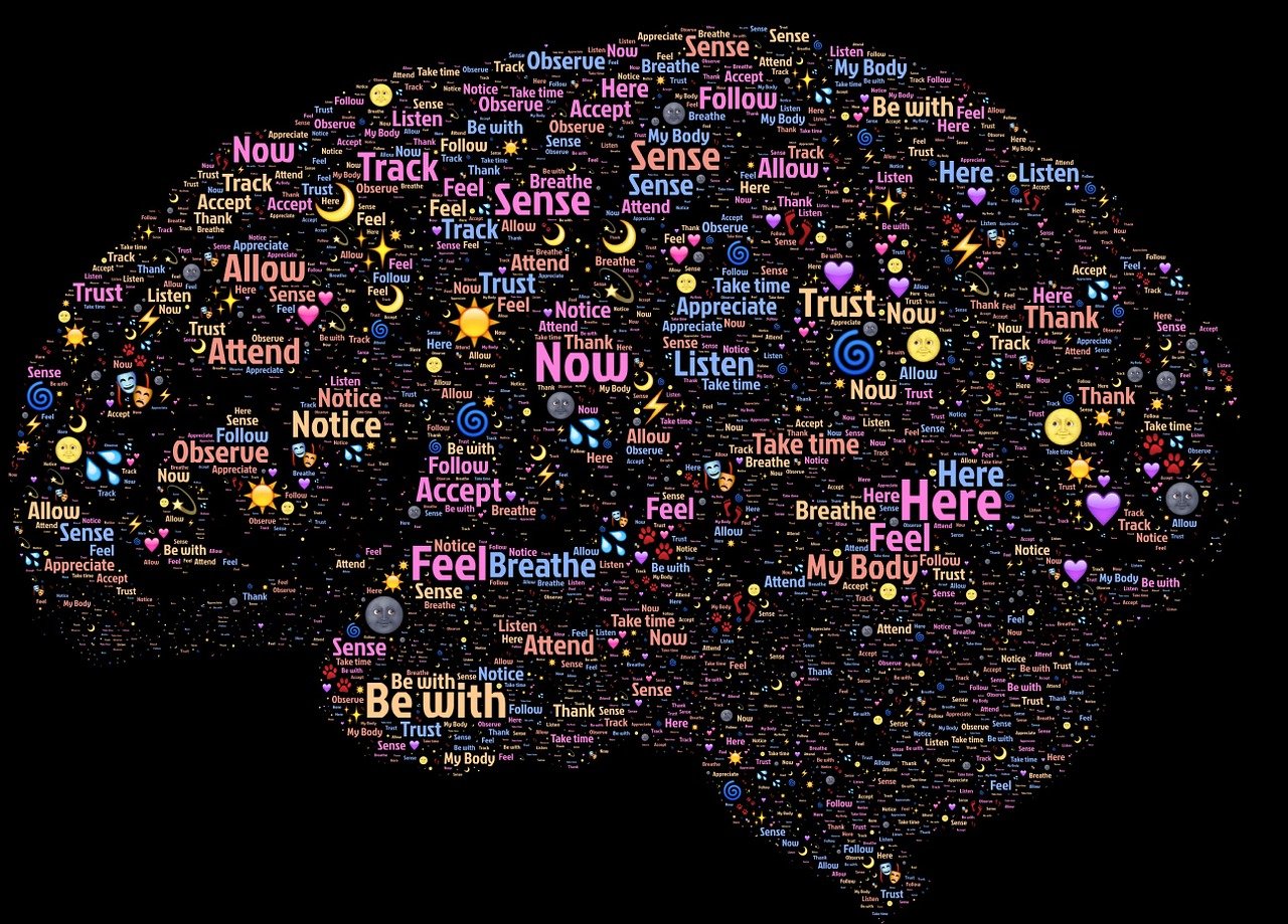 最新脑科学研究揭示大脑奥秘与潜力，探索大脑的未知领域