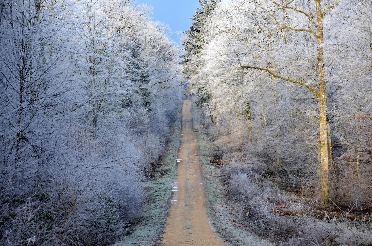 探索水晶世界的魅力与前沿动态，动漫水晶资讯速递