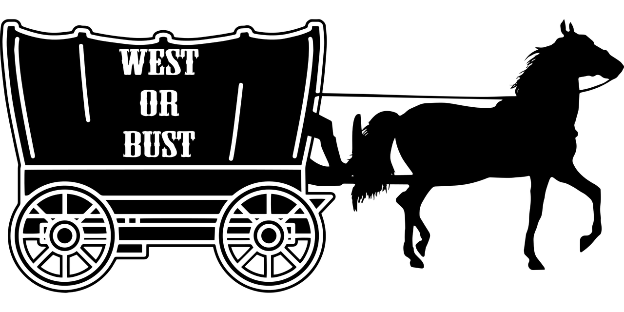 钱月宝最新动态揭秘，引领前沿科技，行业创新先锋